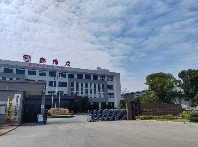 China Xiamen Loongrubber Technic Co., Ltd company profile